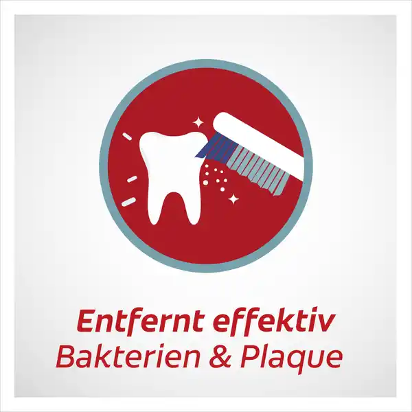 Zahnbürste Extra Clean Medium