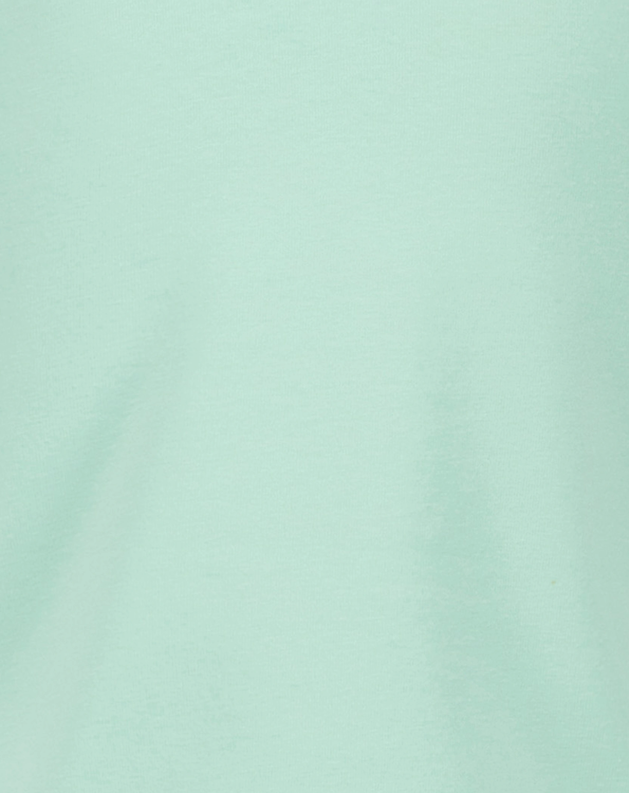 T-Shirt HORSES HEART in ice green