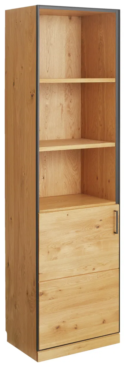 Linea Natura Regalschrank 1T/schmal/LINKS ADMIRAL