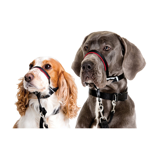 Halti OptiFit Headcollar