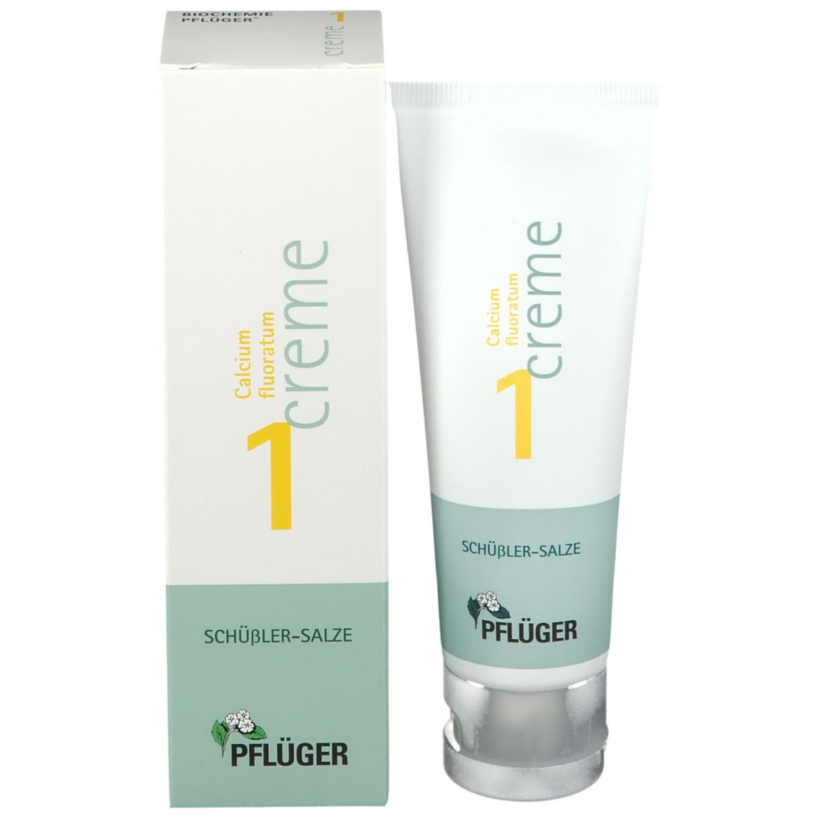 Biochemie Pflüger® Nr. 1 Calcium fluoratum D4 Creme