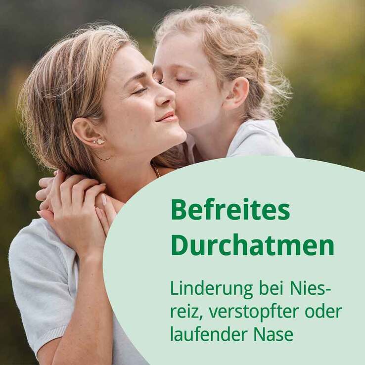 Rhinoguttae Neo Nasenspray, 20 ml