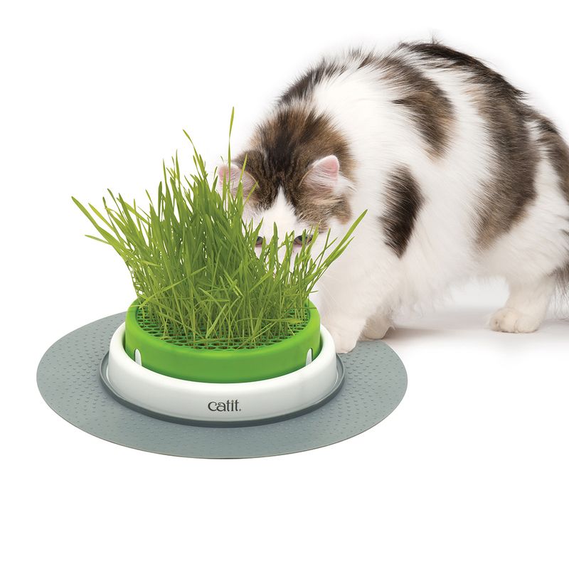 Jardinière d'herbe à chat Catit Senses 2.0