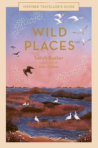 Wild Places Volume 6 - Inspired Traveller's Guides (Hardback)