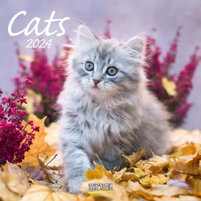 Kalender - Cats - 2024