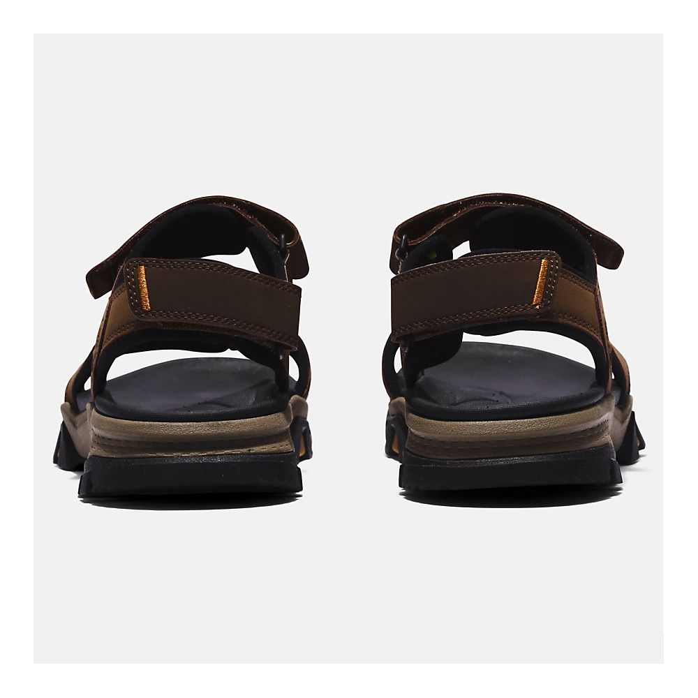 Timberland LINCOLN PEAK - Sandales Homme dark brown leather