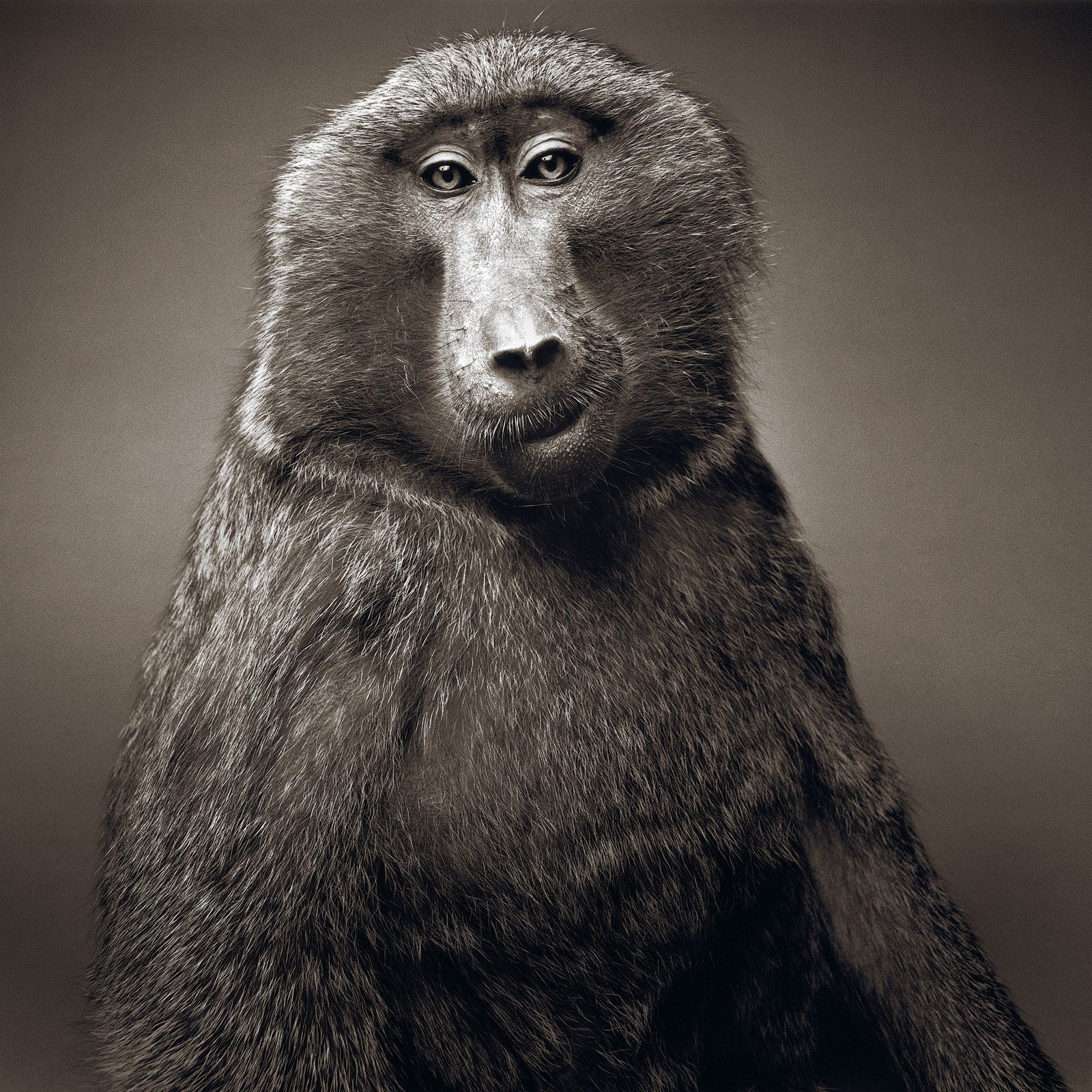 Jeany by Alexander Von Reiswitz - Limited Edition. Edition of: 100. Signed.