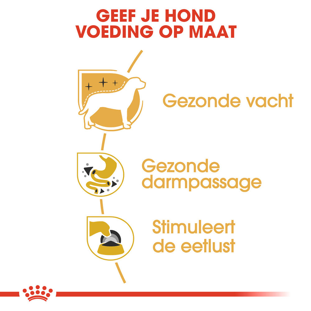 Royal Canin Chihuahua Adult Wet - Hondenvoer