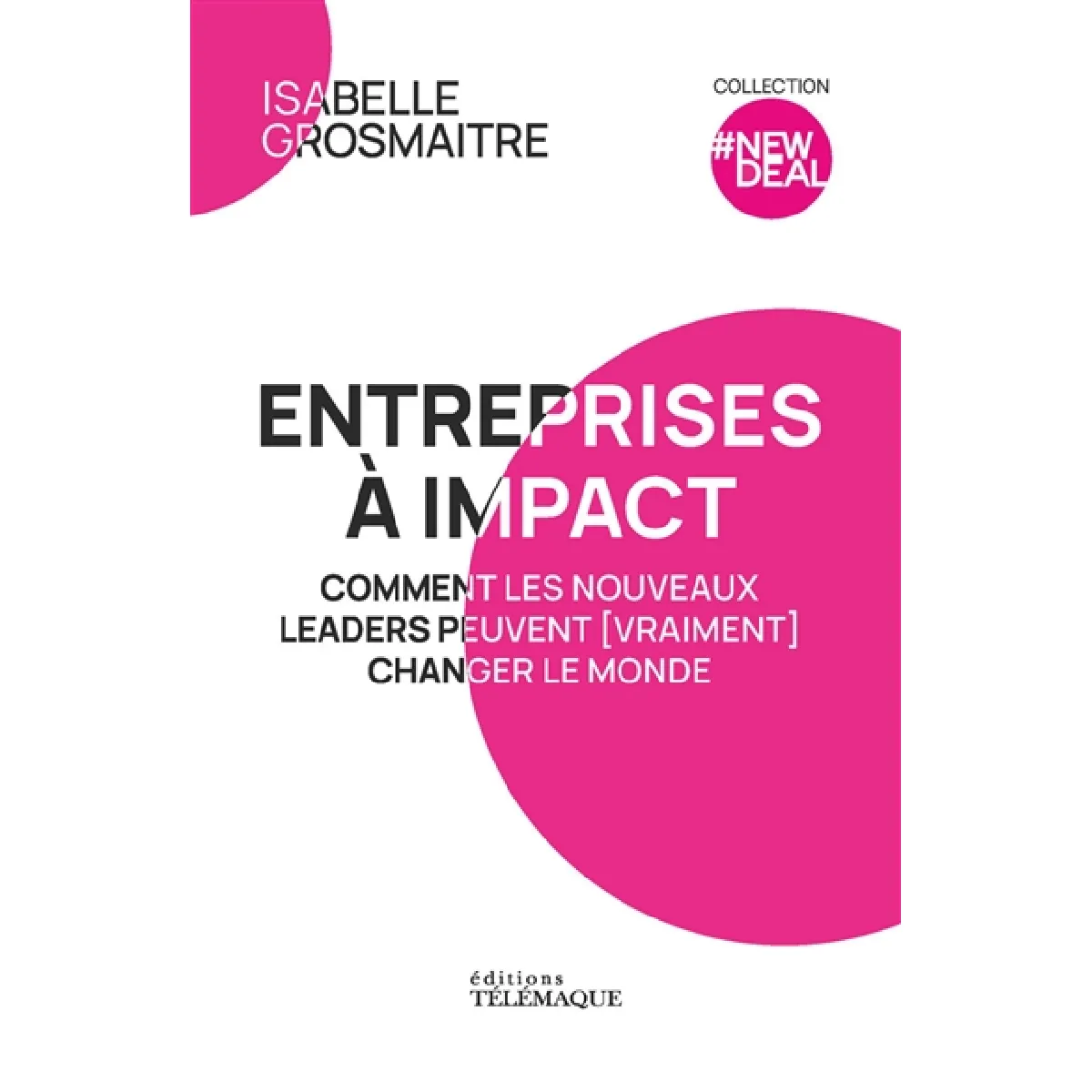 Entreprises à impact : comment les nouveaux leaders peuvent (vraiment) changer le monde · Occasion