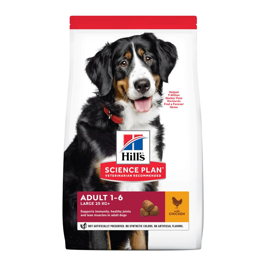 Ração Hill's Science Plan para cães adultos de porte grande com sabor de frango