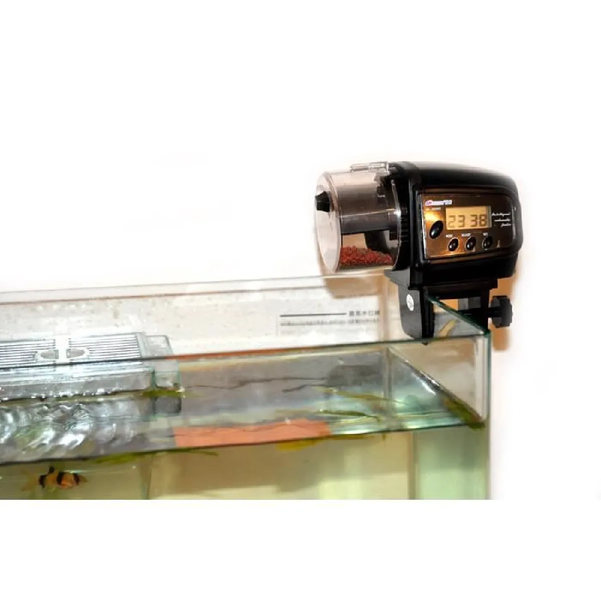 Mondpalast DistriButeur Poisson