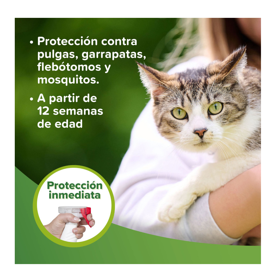 Loção repelente para cães e gatos Beaphar