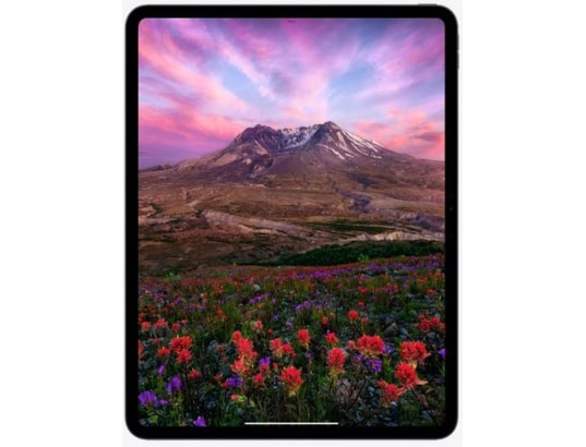 APPLE - Tablette 11'' Argent 256 Go (M4)