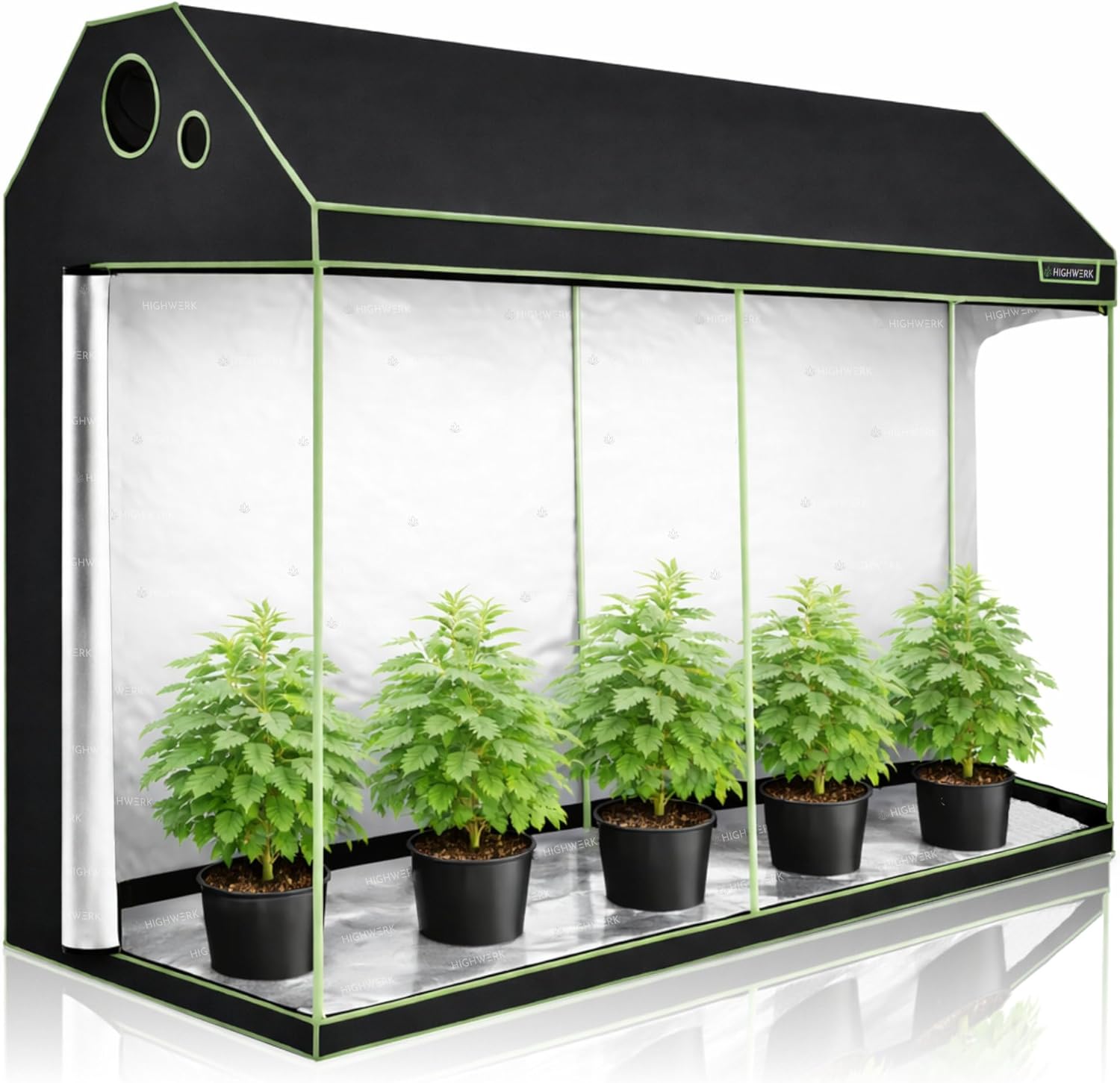 HIGHWERK Growzelt 240 x 120 x 200 cm | MyHomeGrow Grow Tent, Grau | Indoor Grow Tent für Pflanzenzucht | Growbox, Homegrow, Growschrank | Zuchtzelt, Pflanzenzelt, Anzuchtzelt, Gewächshaus