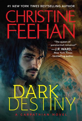 Dark Destiny - Dark Series (Paperback)