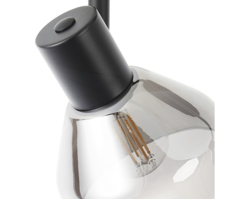 Plafondspot, 2-lichts, HxL 19,5x43 cm, matzwart/rookglas