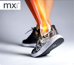 MX Health Premium Ankle Support - Universal 1ST
