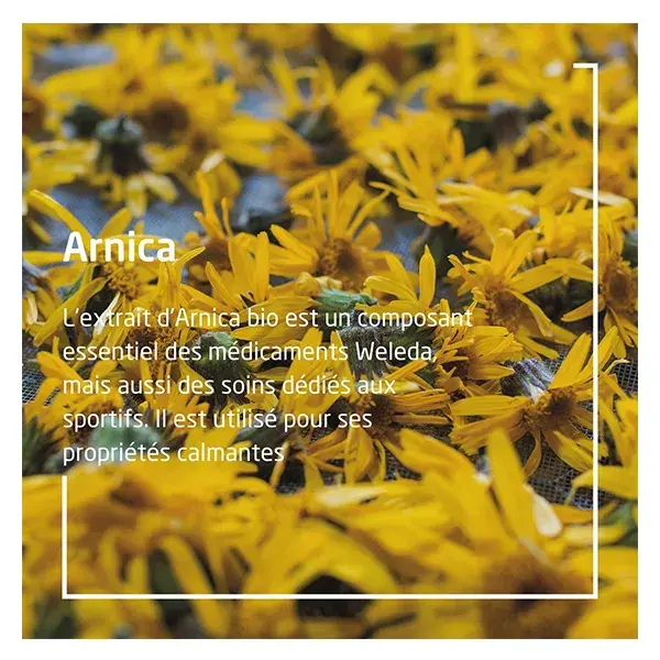 Weleda Gel de banho esportivo Arnica 400ml