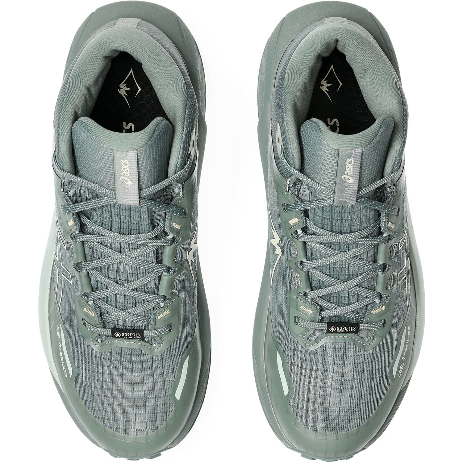 ASICS GEL-Trabuco MT GTX Heren