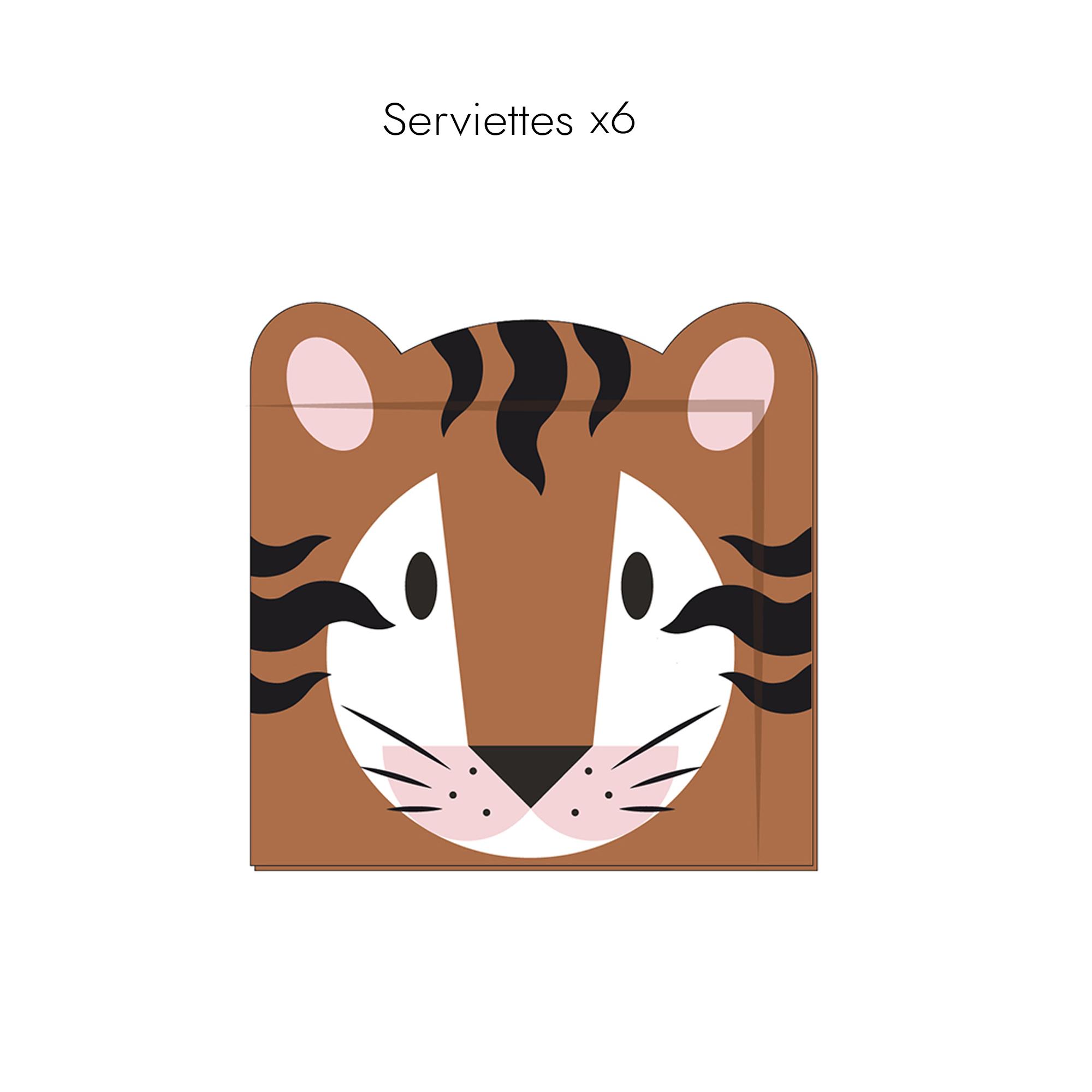 BOITE ANNIVERSAIRE SAVANE 55 PIECES