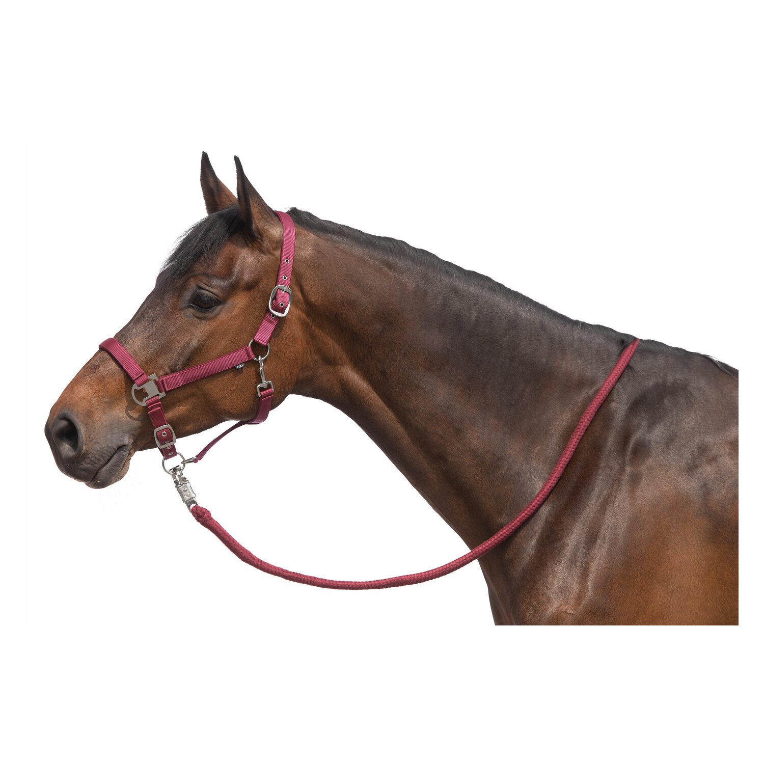 IRISh INNOVATION Halfter-Set Terni  - burgundy