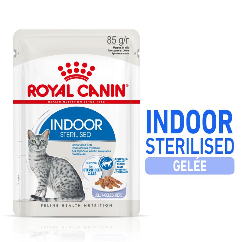 Royal Canin Indoor Sterilised en gelée