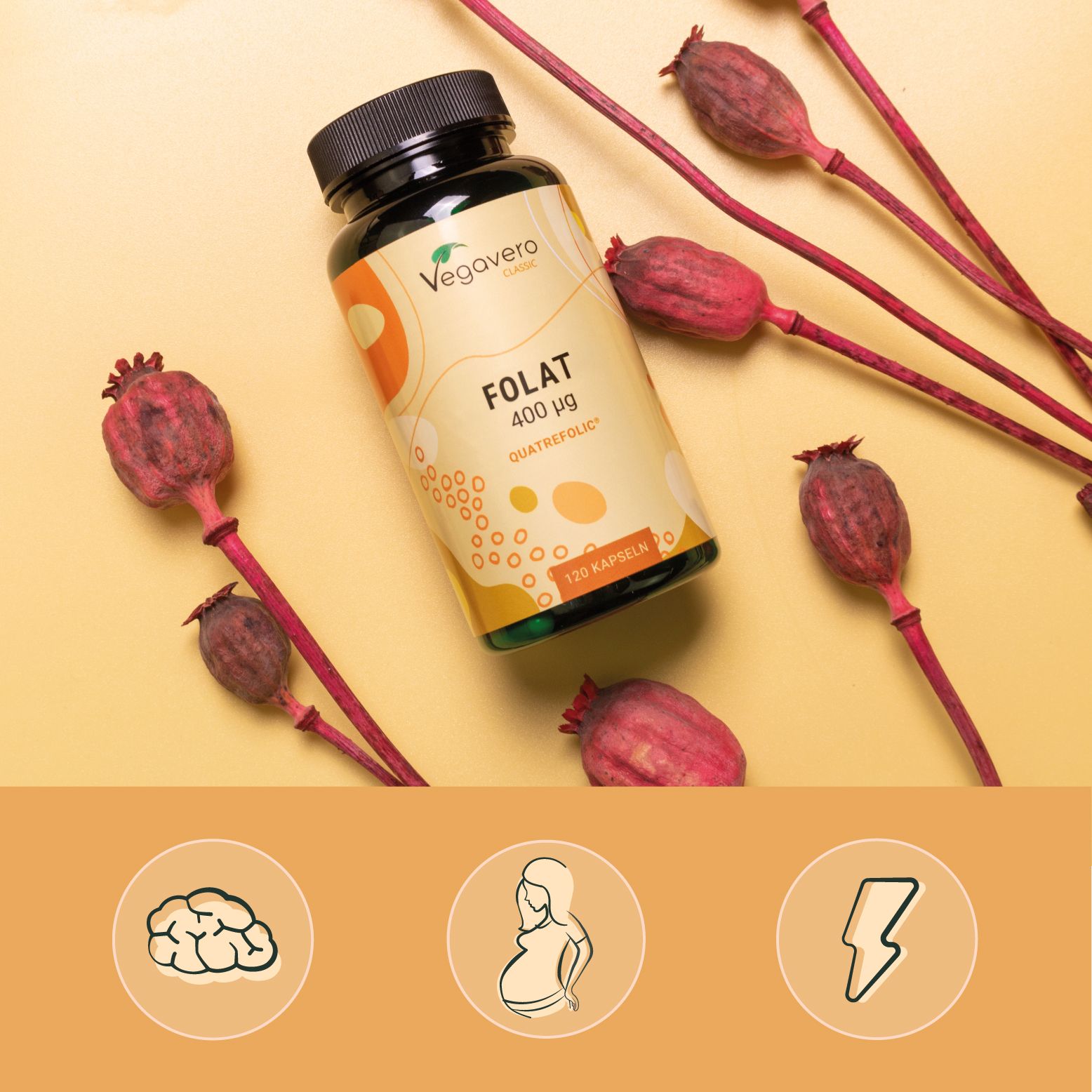VEGAVERO Folat