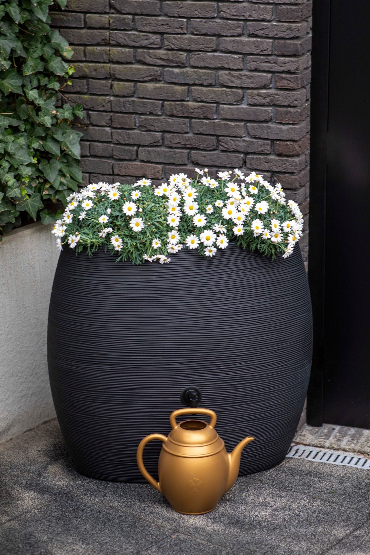 Xala - Gieter Chai 10L - Zwart