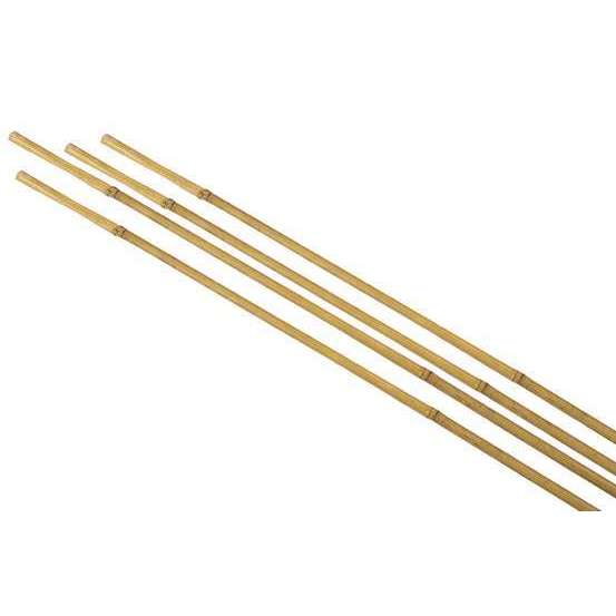 Lot de 4 tuteurs bambou Diam. 8/10 mm H 120 cm