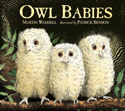 Owl Babies (Board book)