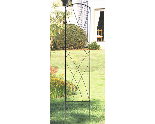 Decoratief trellis Ilian zwart 30x150cm