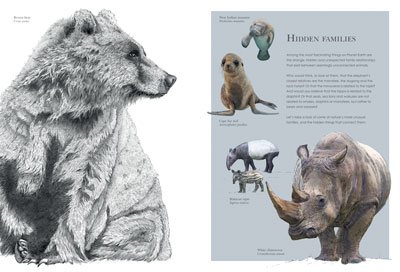 Hidden Planet: An Illustrator's Love Letter to Planet Earth (Paperback)