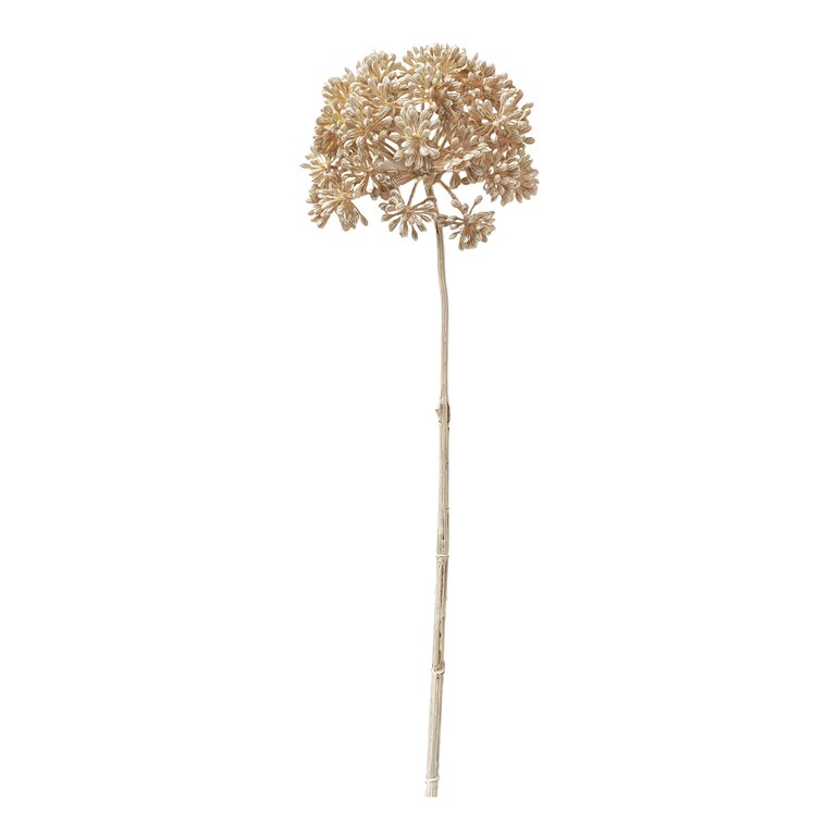 natur, L 71 cm