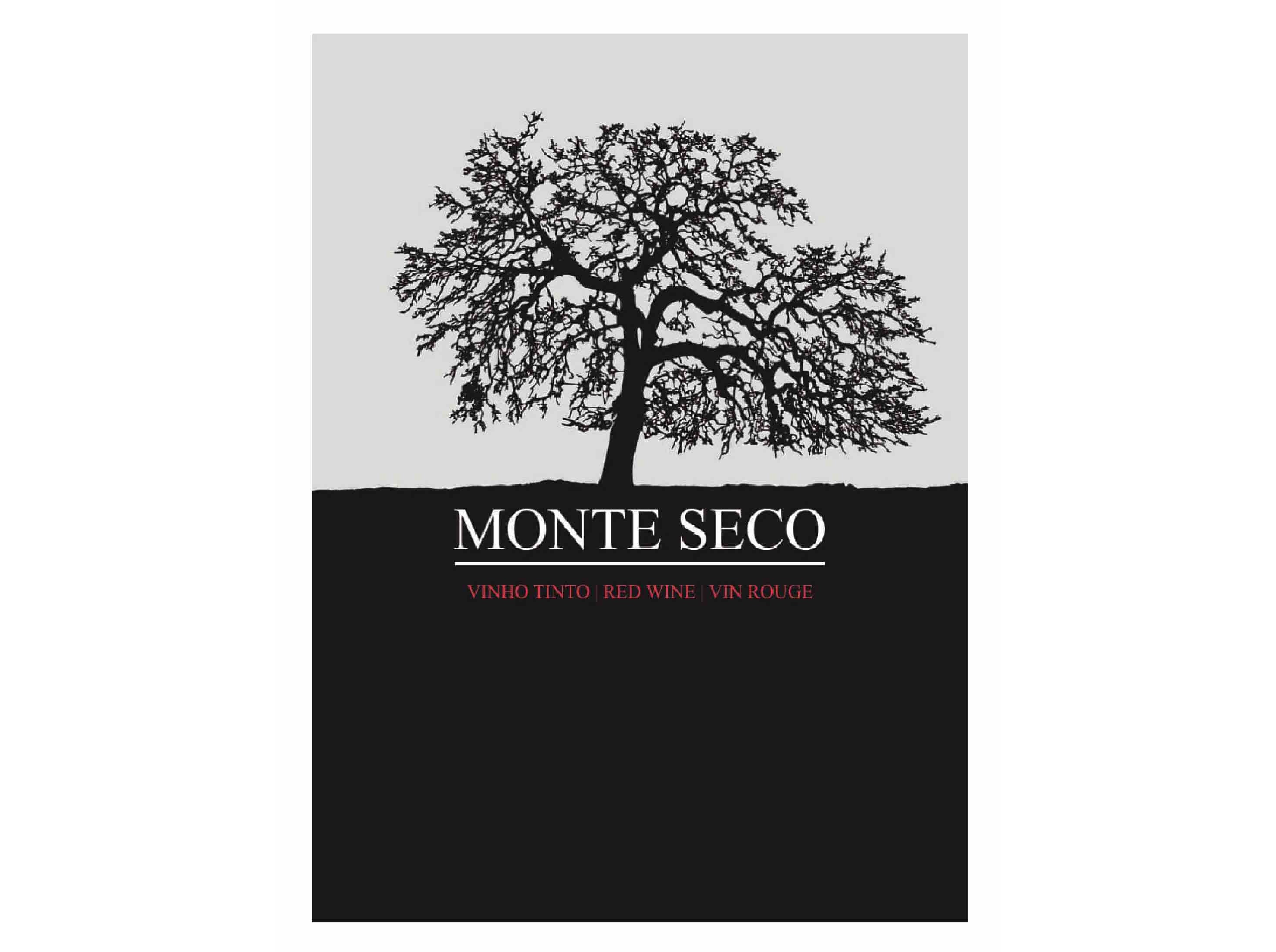 VINHO TINTO MONTE SECO BAG IN BOX 5L