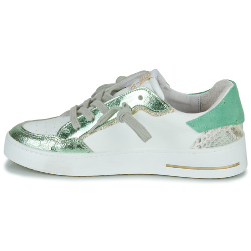 Semerdjian - ALE - Vert / Blanc