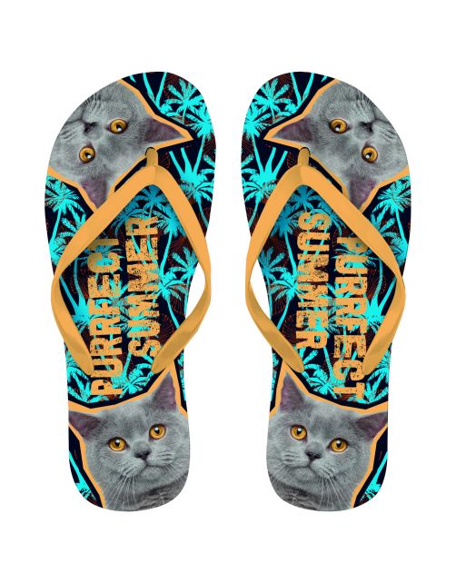 Plenty Gifts Flip Flops British Shorthair Cat - Cadeau - 29x22x2 cm Blauw Grijs 40-42