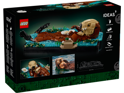 LEGO Drijvende zeeotters (21366)