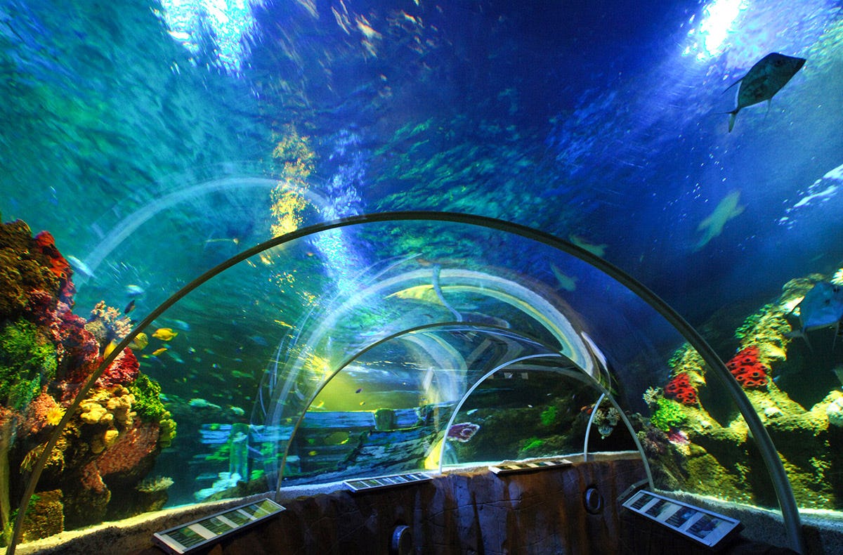 Sea Life Timmendorfer Strand