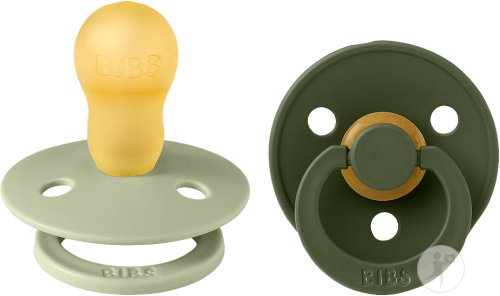 Bibs Colour Collection Sucettes +18 Mois Taille 3 Sage Hunter Green 2 Pièces