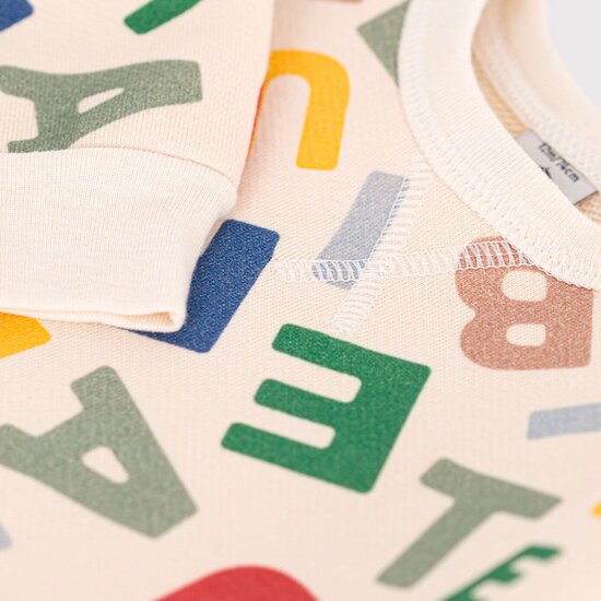 Sweatshirt   Avalanche / Multicolor        de               Petit Bateau