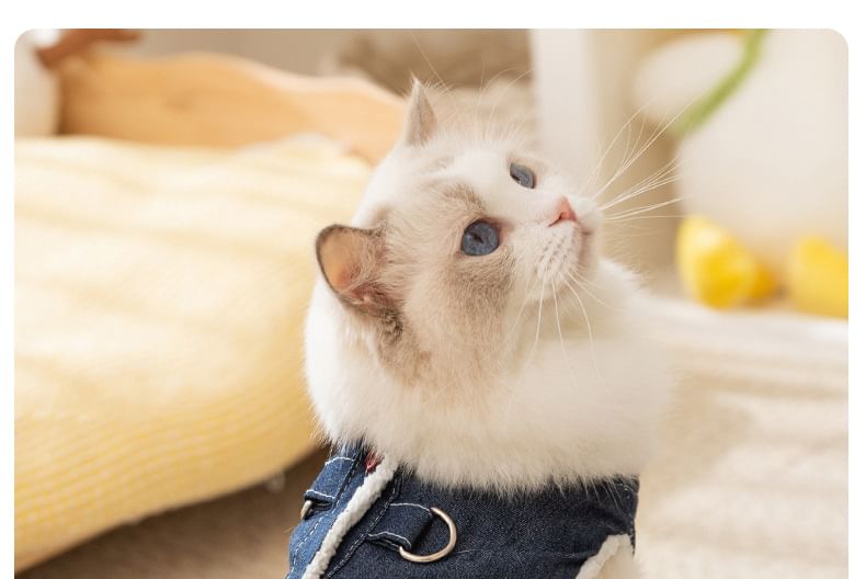 Cissilli - Geknoopt fleece gevoerd denim top voor huisdieren