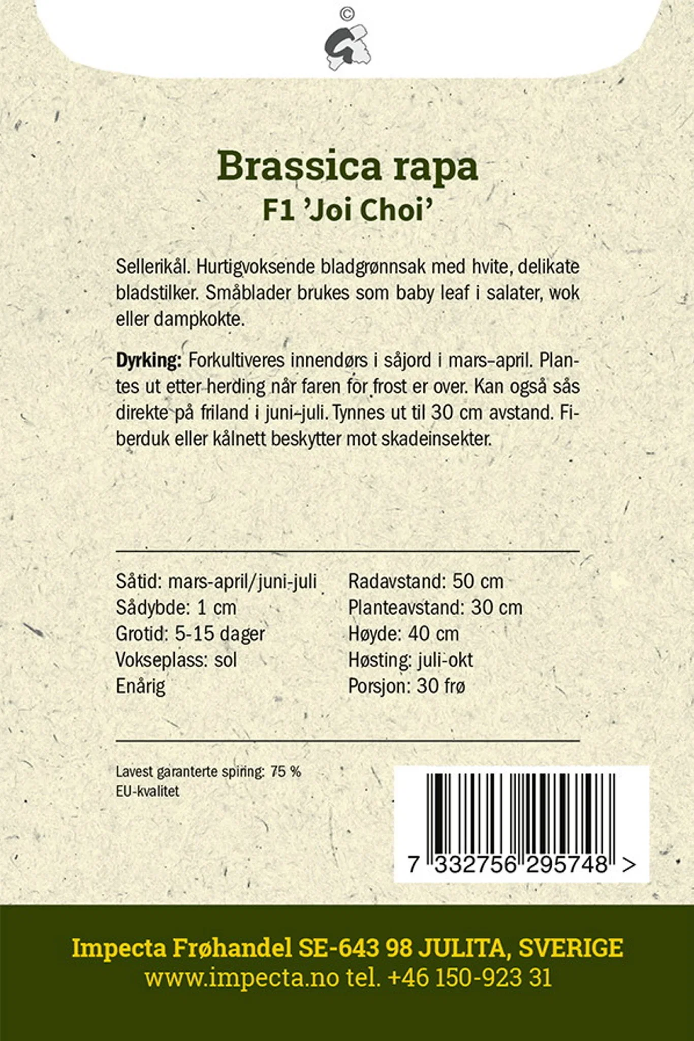 Brassica rapa F1 'Joi Choi' Pak Choi F1 'Joi Choi'