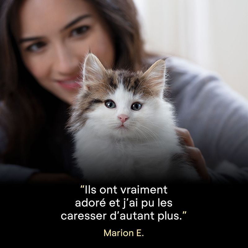 PURINA PRO PLAN LiveClear Kitten dinde