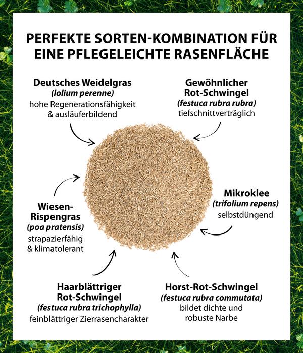 Dehner Saatgut Mikroklee-Rasen