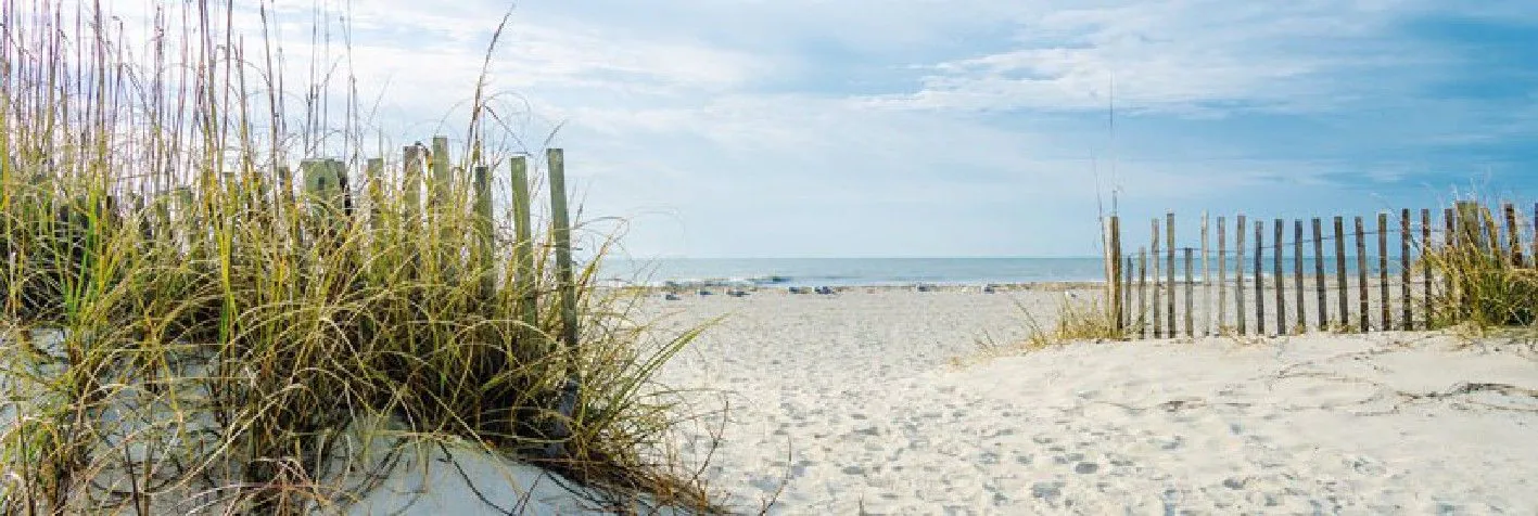 Poster Dünen und Strand, 53 x 158 cm