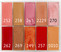 Maqpro - Lippenstift - Palette 10er SLIM - TF1, 15ml