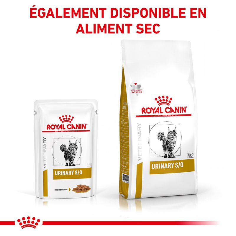 Royal Canin Veterinary Urinary S/O Mousse