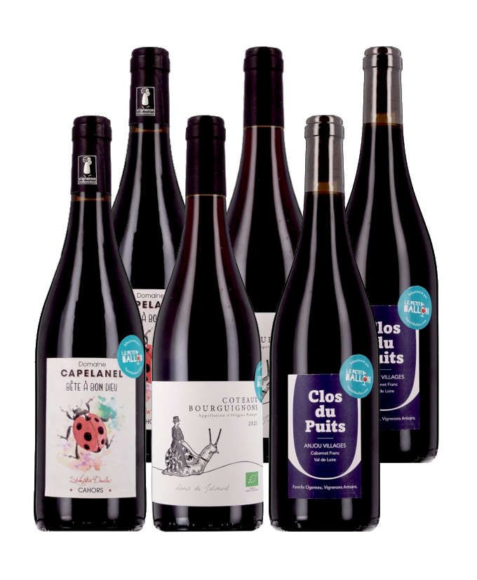 Coups de coeur - 100% monocépages - 6 bouteilles