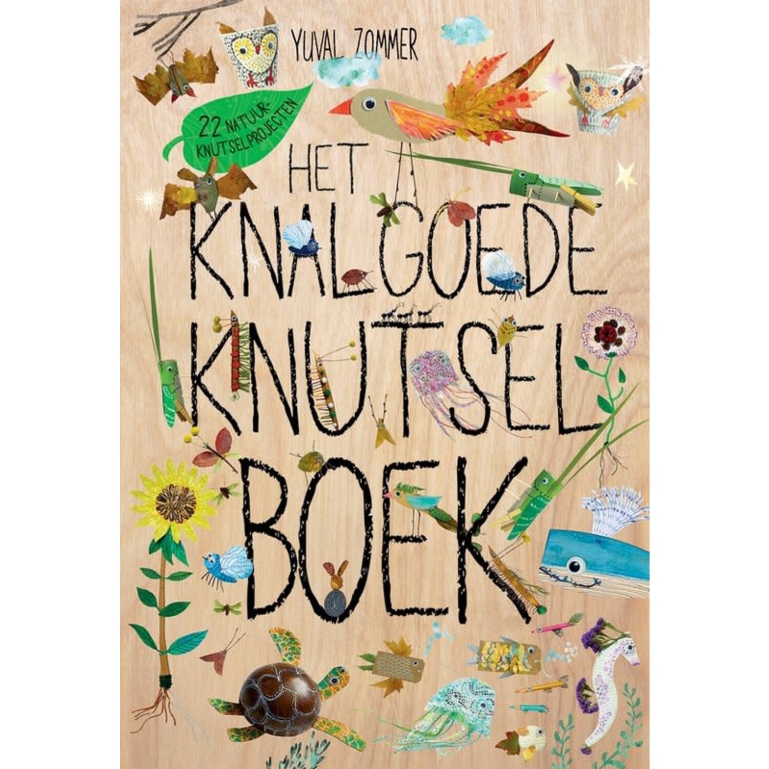 Boek | Het knalgoede knutselboek
