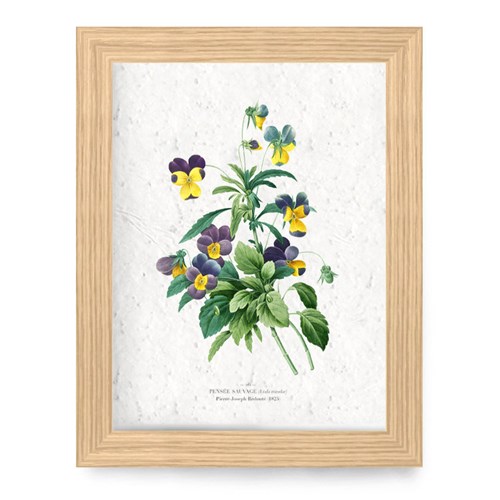 Affiche à planter a4 - pensées sauvages